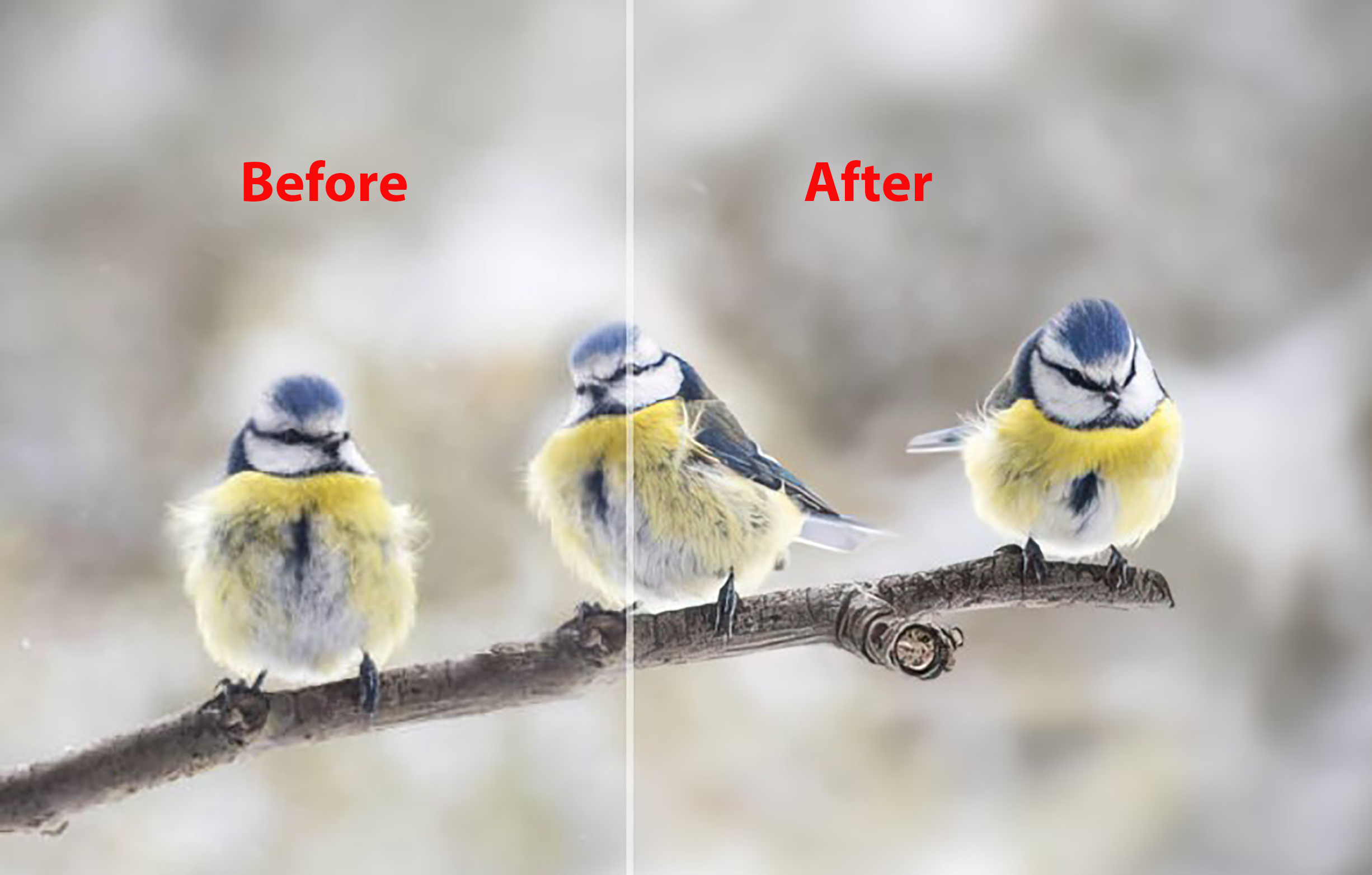 49329I will transparent, background removal, and watermark remover in just 40 minutes